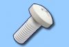 Ceramic Screw (Pan head) Alumina and Zirconia