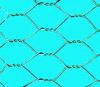 Hexagonal Wire Netting