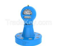 Type D & F Flanged Pressure Gauges