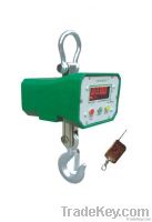 Crane Scales 100kg/0.1kg