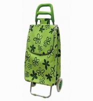 Foldable 600D Shopping Trolley C