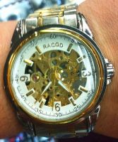 Mechanical watch,  Skeleton watch, Wrist stainless steel Men's watch