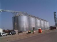 Grain storage bins