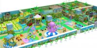 Attactive and Well Designed Colorful Amusement Indoor Playground Equipment
