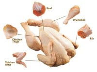 All CHİCKEN PARTS -Brazilian deep frozen chicken