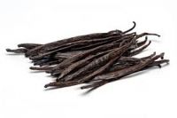 Vanilla Beans