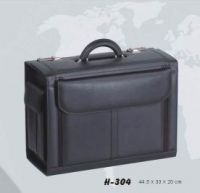 pilot case H-304