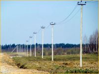 wooden poles for power lines