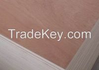 https://www.tradekey.com/product_view/Bintangor-Plywood-10300012.html