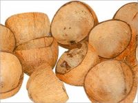 Coconut shells