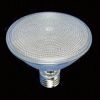 LED PAR30 Bulb