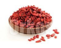 Organic Goji berries