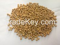 Ethiopian origin soya beans