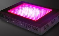 LED Grow Lamps