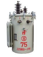 Pole Mounted Transformer