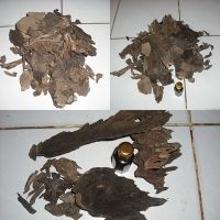 Agarwood oil, Gaharu, Oud