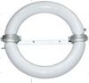 Ring Type induction lamp(40~300W)
