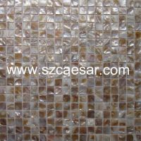 MOP shell mosaic tile (MS099)