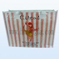 Pp Nonwoven Bag