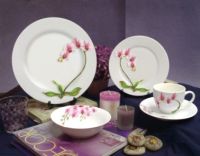 Porcelain Dinnerware Sets