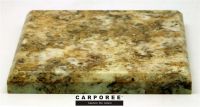 CARPOREE Solid Surface Material
