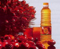 Palm Oil