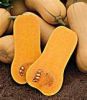 butternut squash