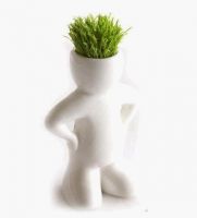 https://es.tradekey.com/product_view/Mr-Grass-Man-1308947.html