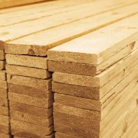 European softwood