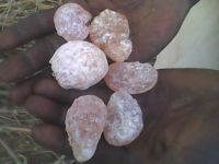 GUM ARABIC