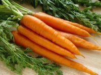 Costa Rica Carrots