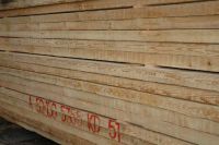 Siberian Larch, best prices