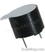 Magnetic Transducer