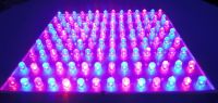 LED Grow Light