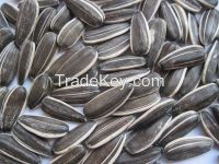 https://www.tradekey.com/product_view/2014-Dired-Raw-Sunflower-Seeds-Black-With-Strip-5009-Type-7879718.html