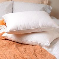 Cotton Polyester Pillow