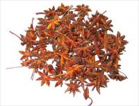 Star anise from Vietnam