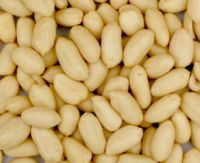 blanched peanut