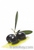 Italian Extra-Vergin Olive Oil