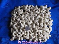 Dried Fruits | W240 Cashew Nuts Suppliers | W320 Cashew Nut Exporters |Buy  WW230 Cashew Nut | Cheap W450 Cashew Nut | Wholesale WW240 Cashew Nut |Discount WW320 Cashew Nuts | WW450 Cashew Nut | SW320 Cashew Nut