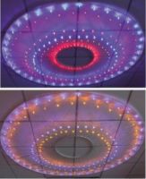 LED Net Lights