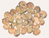 https://fr.tradekey.com/product_view/Cashew-Nut-Buyers-Cashew-Nut-Importer-Buy-Cashew-Nut-Cashew-Nut-Buyer-Low-Price-Cashew-Nut-Cashewnut-Suppliers-Cheap-Cashew-Nut-Wholesale-Cashew-Nut-Discounted-Cashew-Nut-Bulk-Cashew-Nut-Cashew-Nut-Suppliers-1198752.html