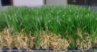 artificial grass