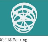 Pall Ring