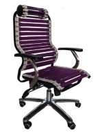 Bungie chair/Office chair/Arm chair(Health chair4039C)