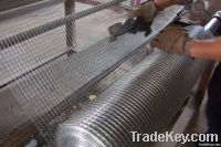 Welded Wire Mesh