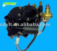 CNG regulator for carburetor vehicle