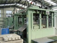 Pulp Moling Dry Type Machine