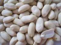 blanched peanut