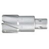 tct annular cutter with FEIN quick-in shank